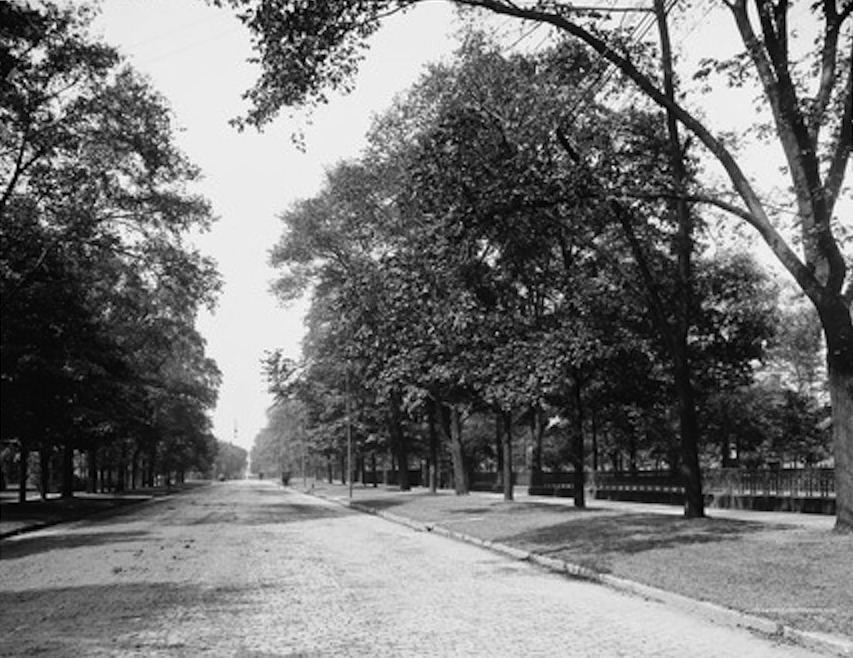 Residents were very proud of the shaded expanses and the mansions to the north side (on the right) that were set back hundreds of feet from the avenue.