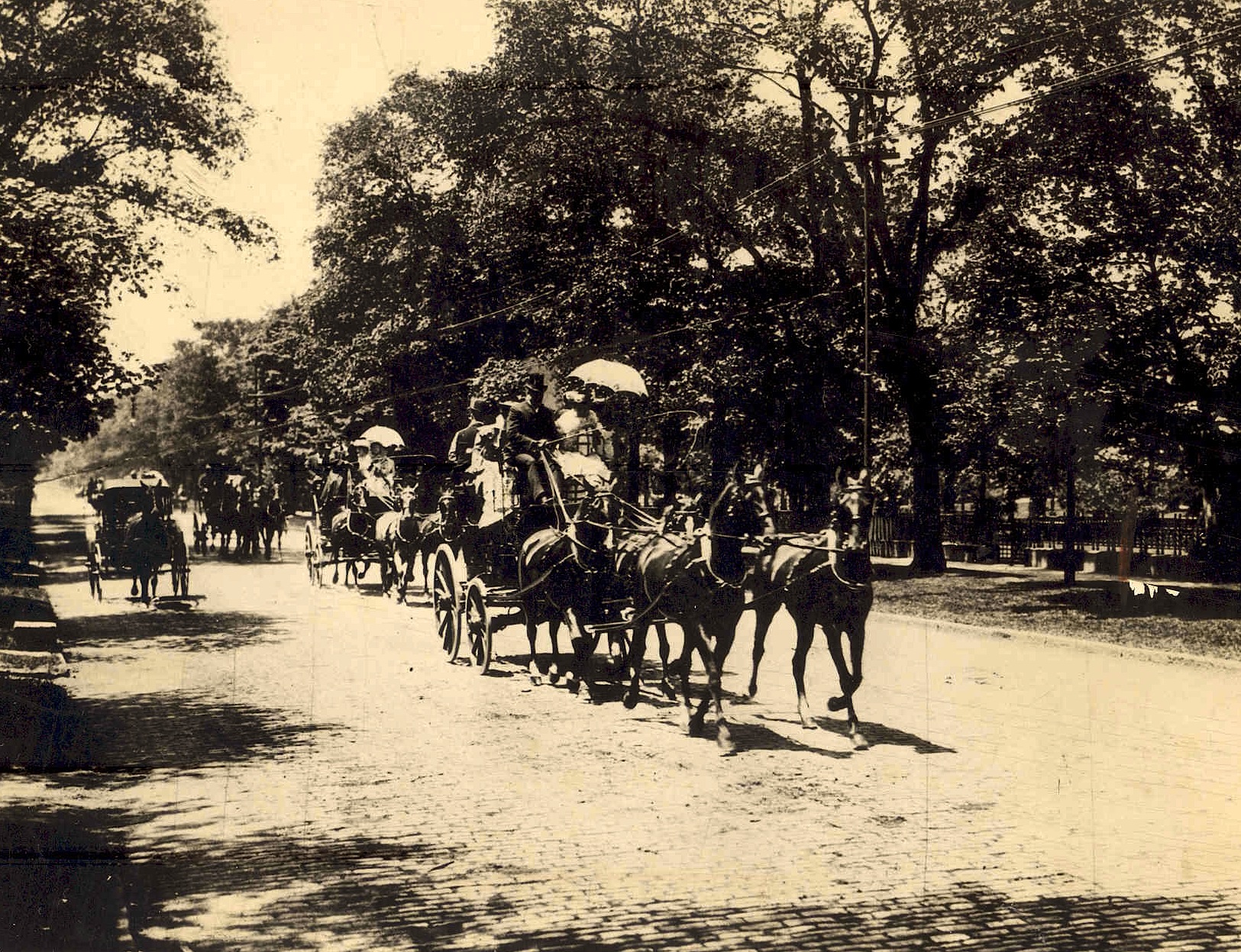 Carriages were an incredible sight on the avenue, and this was the Four-in-Hand Club on Millionaire's Row.