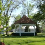 Plants: image 2 0f 4 thumb